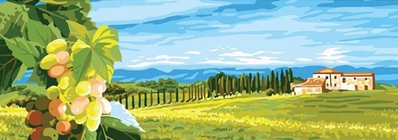 9009(W) (канва с нанесенным рисунком-схемой Collection D'Art)