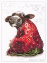 COW BeRRi