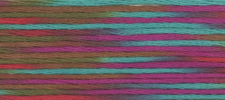 9009 мулине Cosmo меланж Seasons