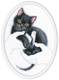 Тепло в ладонях. Черный кот
