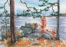 Лунная дорожка (28,5*20,5 см)